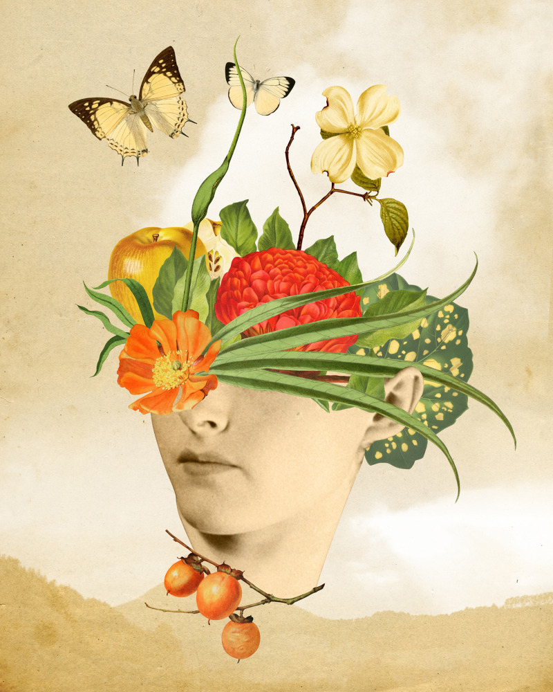 Surreal collage of a person with flowers, leaves, and butterflies around their head, creating a whimsical nature scene.